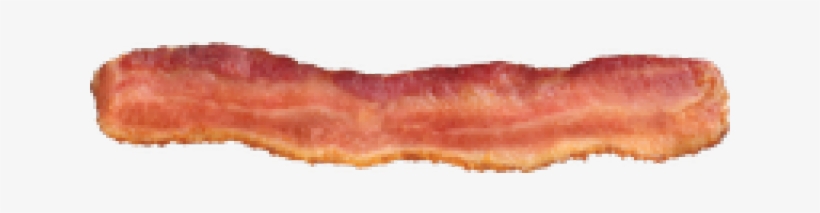 Bacon, transparent png