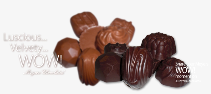 Indulge Yourself With Chocolates From Our Signature - Chocolate, transparent png
