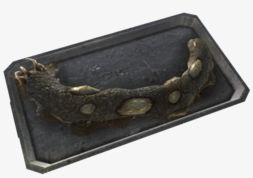 Fo3mz Alien Worm Food - Fallout3 Alien Food, transparent png