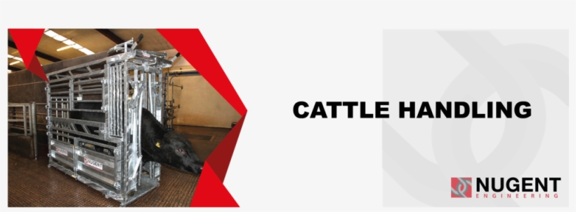 Ffm Website Banners Nugent Engineering Cattle Handling, transparent png