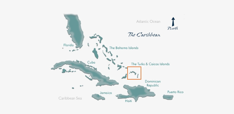 We're Not Exactly In The Caribbean - Zika Virus Turks And Caicos, transparent png