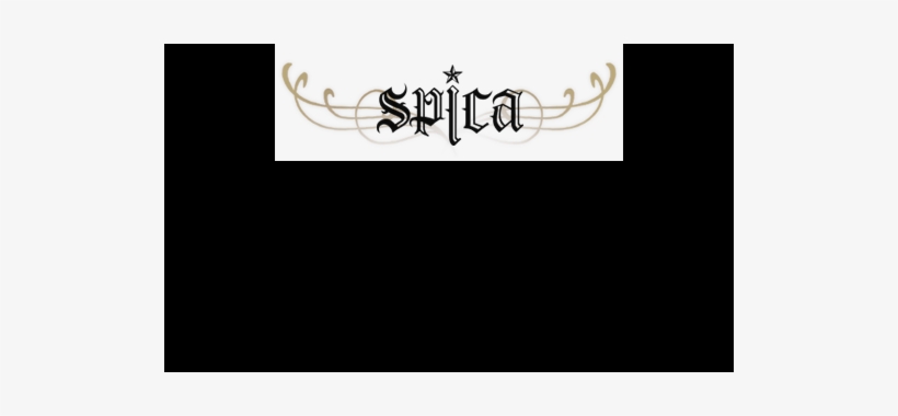 Spica Holds Pre-release Guerrilla Concerts For “secret - Concert, transparent png
