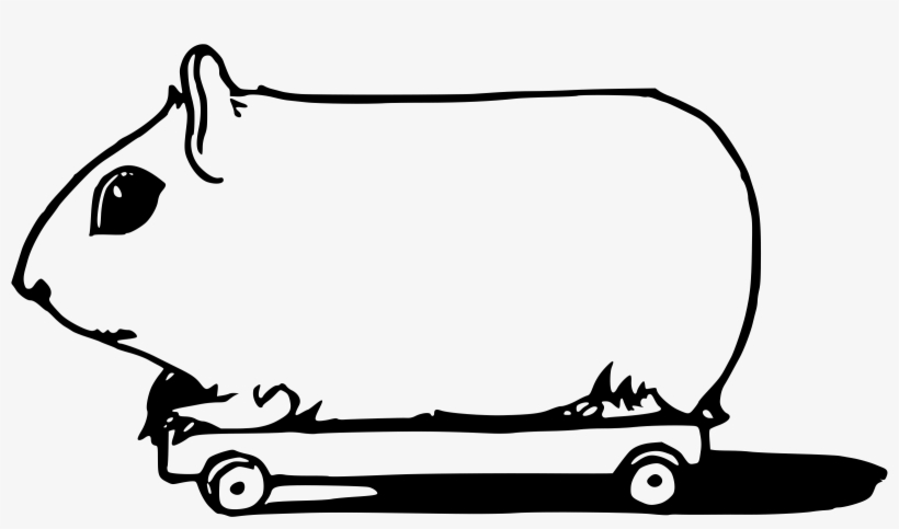 This Free Icons Png Design Of Skateboarding Guinea, transparent png