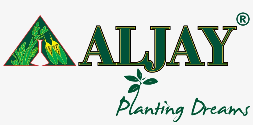 Drawing: The Enactive Evolution Of The Practitioner, transparent png