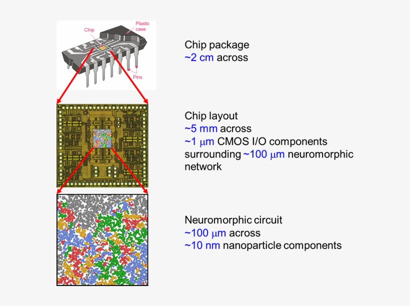 Computer Chip Brain Cmos Circuit - University Of Canterbury, transparent png