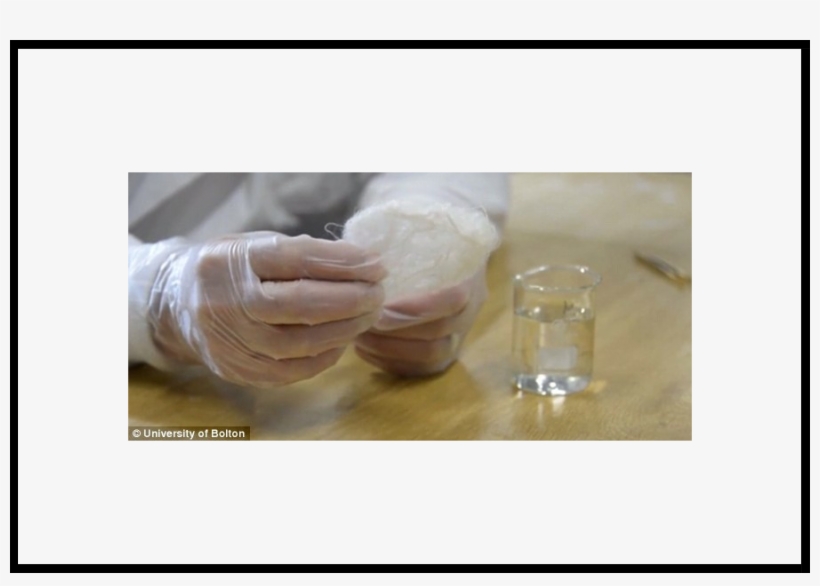 Crab Shell Bandages - Shield Healthcare, Inc., transparent png