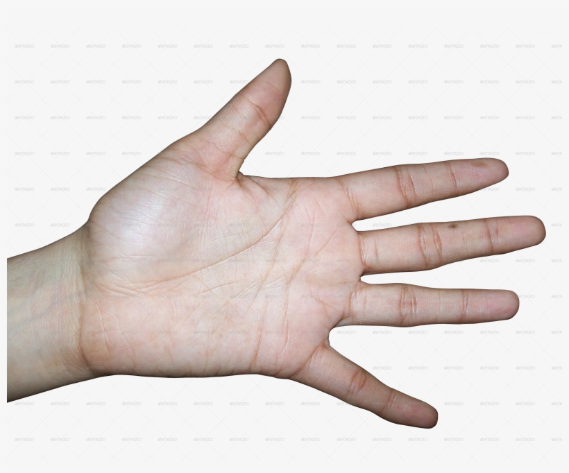 Scientific Paper Stating The Human Hand Was Designed - Human Hand Female, transparent png