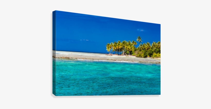 Tropical Island Background Canvas Print - Palm Trees, transparent png