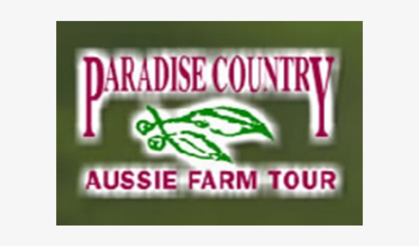 5d4n Gold Coast Village Roadshow Theme Parks - Graphics, transparent png