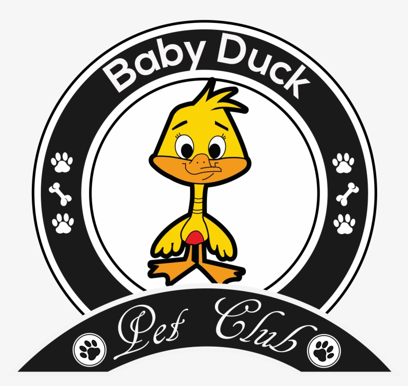 Baby Duck - Pig, transparent png