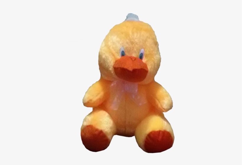 Baby Duck, transparent png