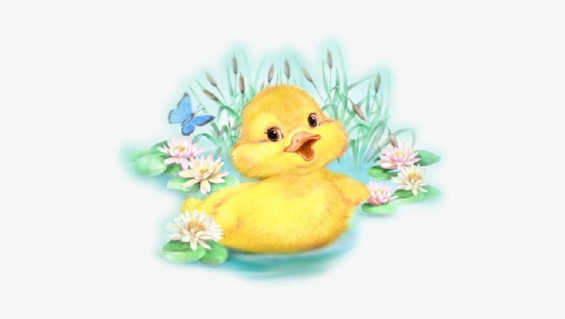 0 78c60 Cab5a41d L-jpg - Cute Duck Clip Art, transparent png