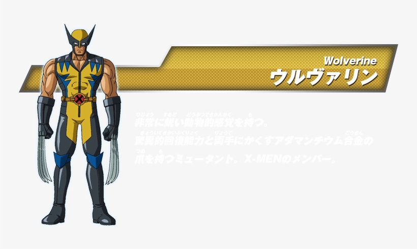 Wolverine Mdwta Chart - Marvel Disk Wars Wolverine, transparent png