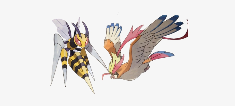 Beedrill Was Always That Cool Pokemon That - Pidgey Last Evolution, transparent png