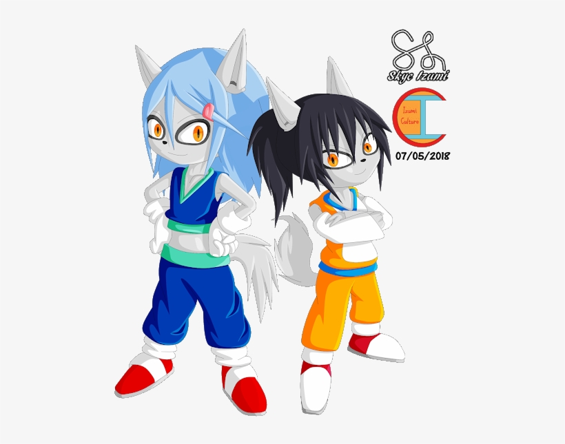 Photo - Sonic The Hedgehog, transparent png