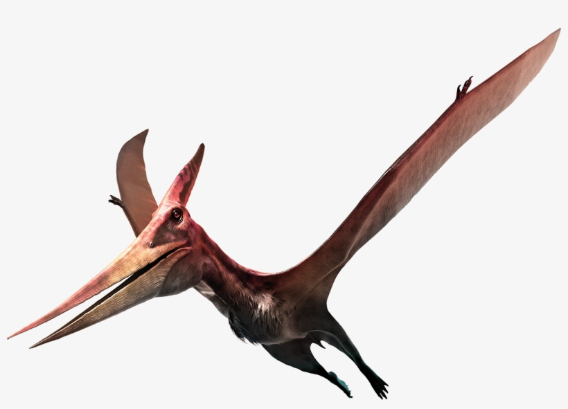 In A Separate Room, Created Together With The Museum - Pteranodon Realistic, transparent png