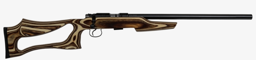 Cz 455 Evolution Varmint Gg, transparent png