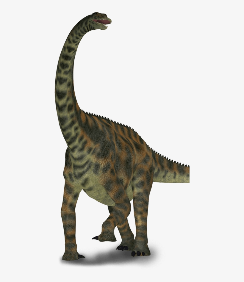 Scene Dino - Dinosaurs Spinophorosaurus, transparent png
