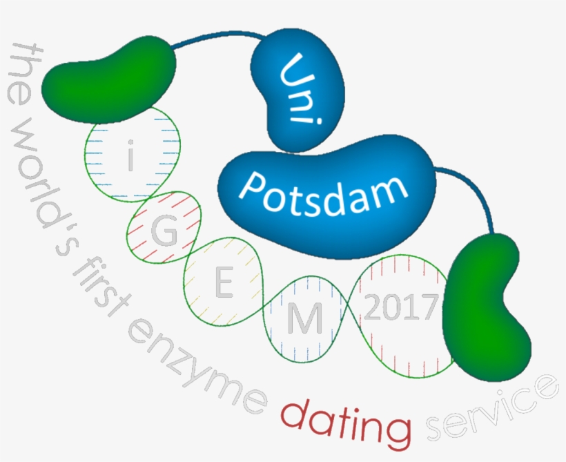 Igem Potsdam - Potsdam, transparent png