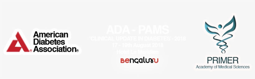 Demo Slide - Streamlight American Diabetes Association Red Nano, transparent png