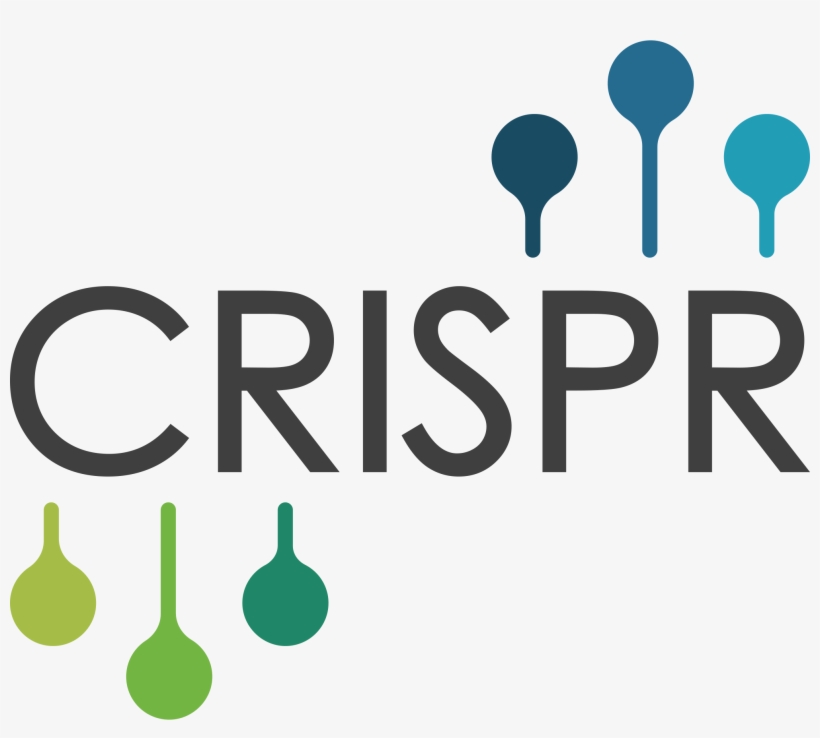 Take Just One Pervasive Disease, Diabetes - Crispr Png, transparent png