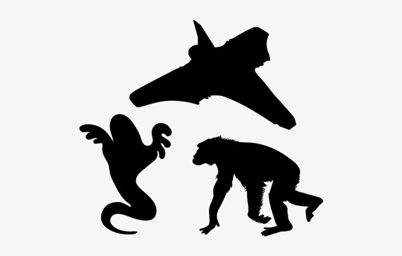 Nerd O Rama Spaceghost - Spider Monkey, transparent png