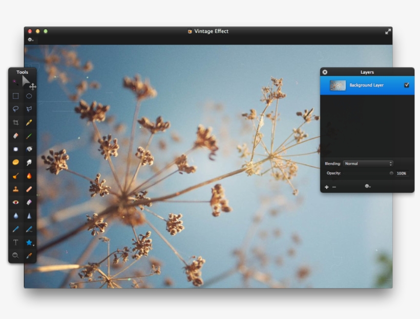 Step - Vintage, transparent png