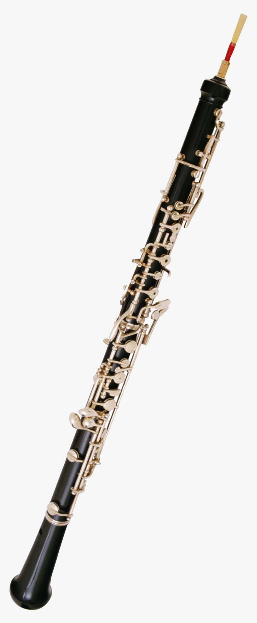 Bass Oboe Related Keywords Suggestions - Oboe Clipart, transparent png