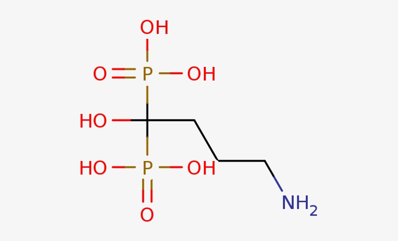 ), Bdbm25313 - Santa Cruz Biotechnology, Inc., transparent png
