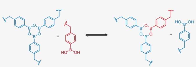 Guan Lab Discovers How To Reshape And Recycle Thermosets - Boroxine Thermosets, transparent png