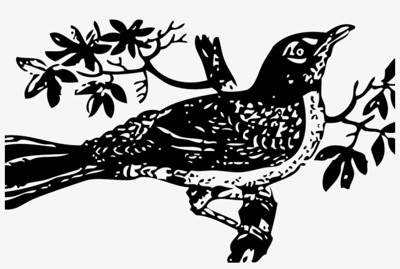 Racism In Language - Mockingbird Black And White, transparent png
