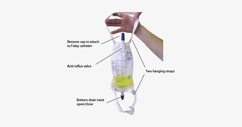 Urine Collection Bag 600ml - Part Of Urine Bag, transparent png