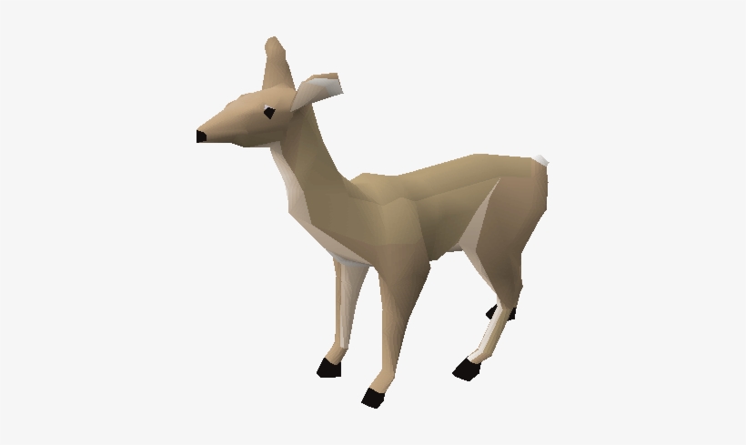 Doe - Roe Deer, transparent png