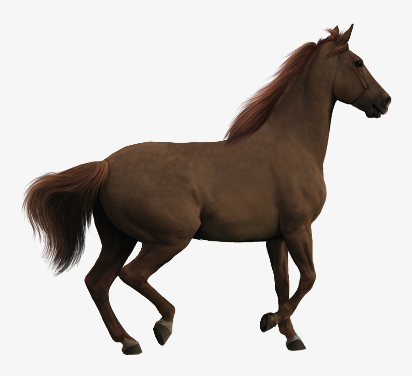 Mare Clipart Baby Goat - Precut Jumping Horses, transparent png