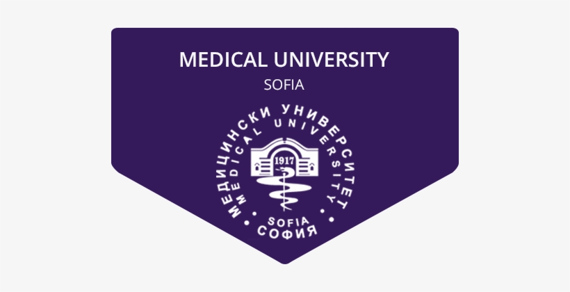 Transparent Traffic Light, transparent png