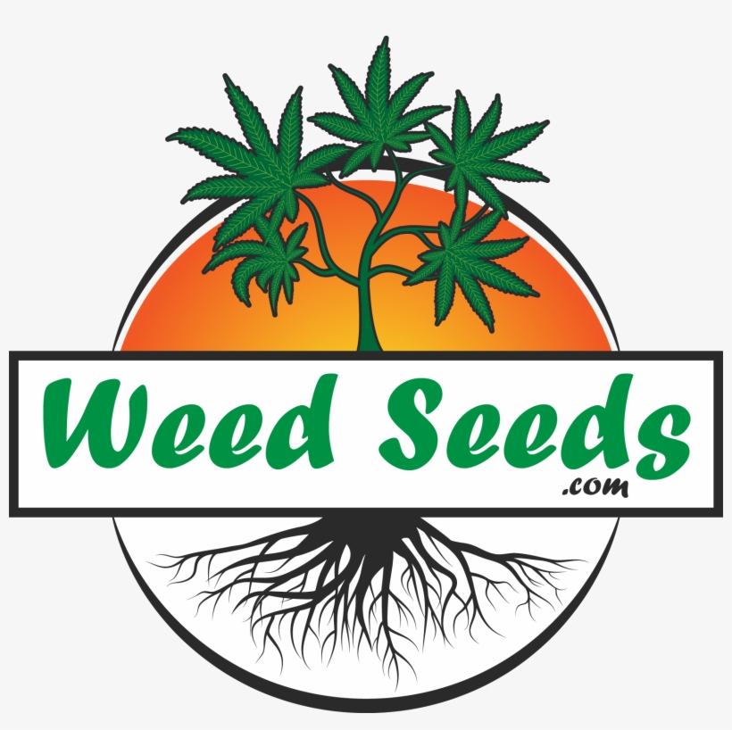 Weedseeds - Com - Seeds Weed Logo, transparent png