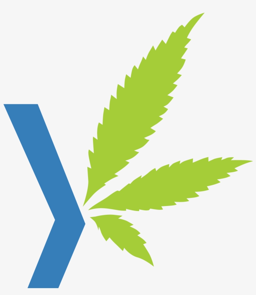 Duby Weed Y Logo In Color - Duby Logo, transparent png