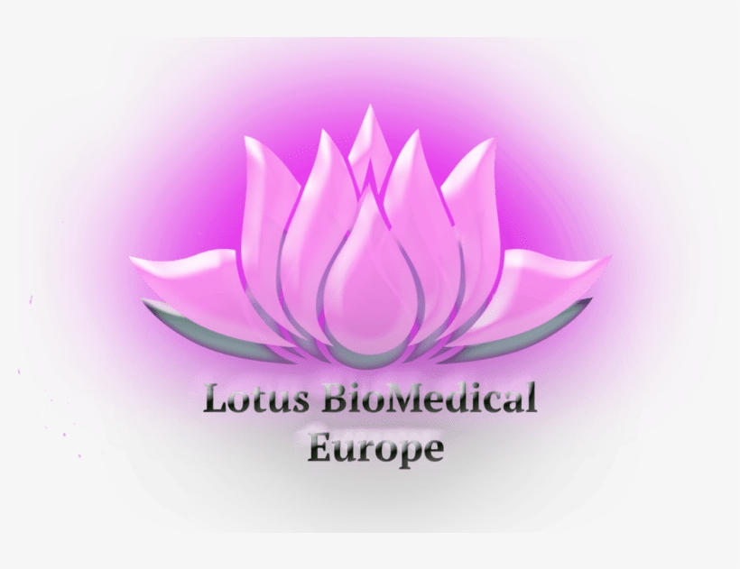 Logo Header Menu - Logo, transparent png