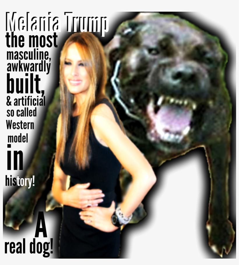Melania Trump Is The Most Masculine, Awkwardly Built - Melania Trump And Dog, transparent png