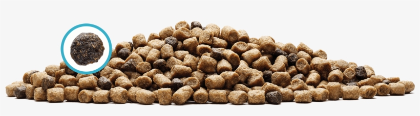 Exclusive Lifesource Bits® - Blue Buffalo Grain-free Dry Cat Food, Wilderness Salmon, transparent png