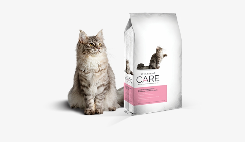 For Adult Cats - Diamond Care Weight Management Cat, transparent png