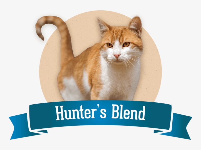 Dry Cat Food - Cat, transparent png