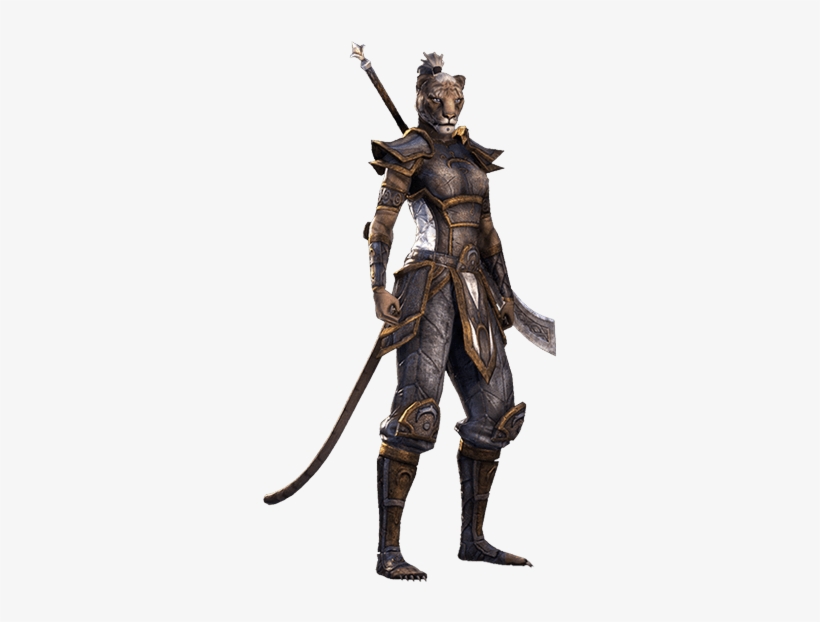 Elder Scrolls Online - Elder Scrolls Online Khajiit Png, transparent png
