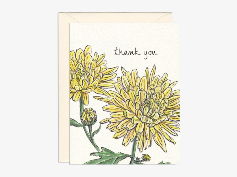 Chrysanthemum Thank You Card - Greeting Card, transparent png