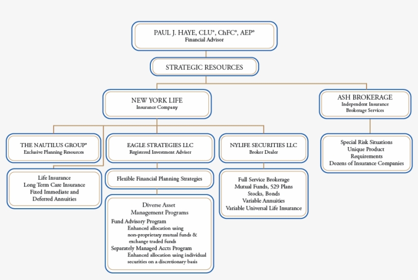 New York Life - Strategic Alliance Insurance Carriers Organization, transparent png