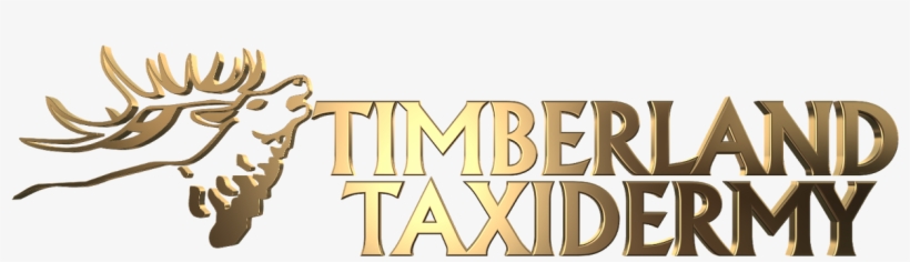 Timberland Taxidermy - Logo, transparent png