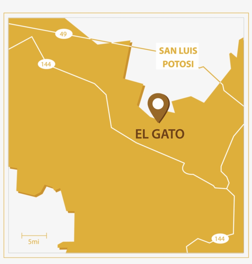 El Gato Project - Map, transparent png