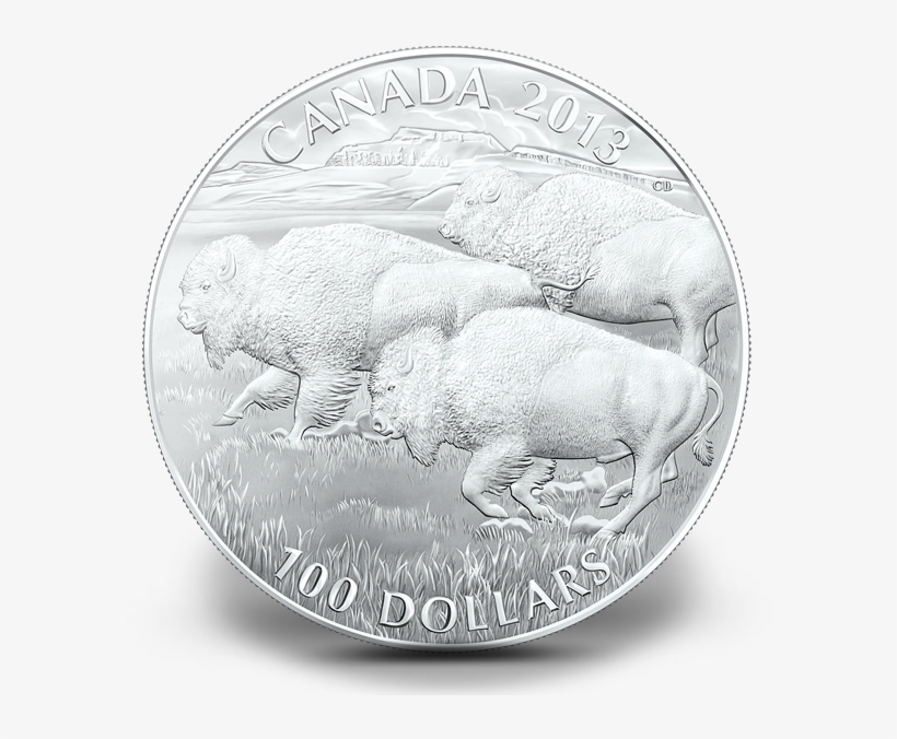 $100 For $100 Fine Silver Coin - Buffalo Coin, transparent png