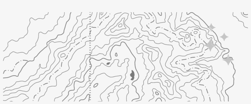 Cedar Wax Wing Near Twisp - Drawing, transparent png