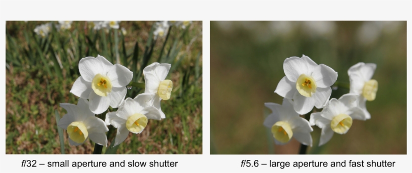Figure 3, Photographs Of An Object Taken With Different - F Number Photography, transparent png